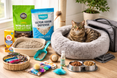 Cat sitting in aa cozy bed surrounded by litter, bowls of food, litter and toys.