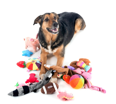 Dog Toys