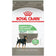 RC DIGEST CARE SM DOG