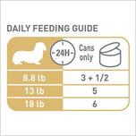 Royal Canin Dachshund Adult Loaf Canned Dog Food 6 Pack