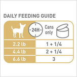 Royal Canin Chihuahua Adult Loaf Canned Dog Food 6 Pack