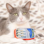Huxley & Kent Sardine Tin Cat Toy