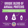 Stella & Chewy's Grain Free Raw Blend Cage Free Dry Cat Food