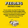 Temptations Classic Tantalizing Turkey Cat Treats