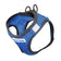 BayDog Liberty Bay Dog Harness