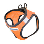 BayDog Liberty Bay Dog Harness