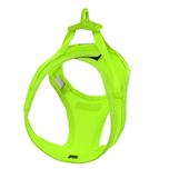 BayDog Liberty Bay Dog Harness