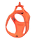 BayDog Liberty Bay Dog Harness