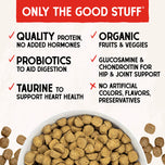 Stella & Chewy's Grain Free Raw Coated Lamb Dry Dog Food
