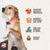Fromm Gold Coast Grain Free Weight Management Dry Dog Food