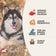 Fromm 4 Star Grain Free Salmon Tunalini Dry Dog Food