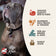 Fromm 4 Star Grain Free Beef Frittata Dry Dog Food