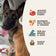 Fromm 4 Star Grain Free Hasen Duckenpfeffer Duck & Rabbit Dry Dog Food