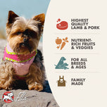 Fromm 4 Star Grain Free Lamb & Lentil Dry Dog Food