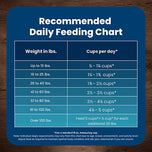 Blue Buffalo Life Protection Adult Dry Dog Food