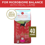 Purina One SmartBlend Lamb & rice Formula Adult Dry Dog Food