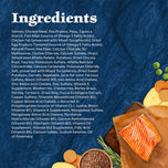 Blue Buffalo Wilderness Grain Free Salmon Recipe Dry Cat Food