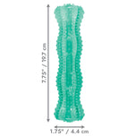 Kong Squeezz Dental Stick Dog Toy