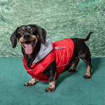 Doggie Design Weekender Dog Sweatshirt Hoodie