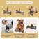 KADTC Durable Bully Stick Holder Dog Toy