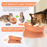 Weight Loss Cat Puzzle