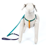 Odell Studio Handmade Multi Colored Leather Dog Harness