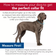 Coastal Pet Products Macho Nylon Dog Collar