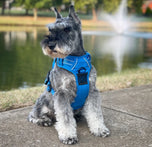 Venture Paw Pull Control Dog Harness