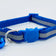 Reflective Bell Breakaway Collar for Cats