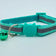 Reflective Bell Breakaway Collar for Cats