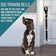 Blue Tree 2 Pack Dog Doorbells