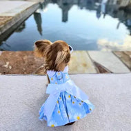 Daisy Dog Dress with Matching Leash