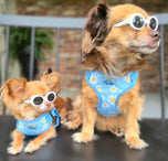 Wrap & Snap Choke Free Dog Harness