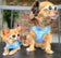 Wrap & Snap Choke Free Dog Harness