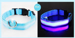LED Light Collar