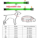 LED Light Collar