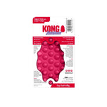Kong ZoomGroom Brush