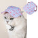 Ozzie Stylist Outdoor Dog Caps