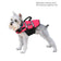 Adventure Dog Life Jacket