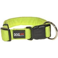 Collars, Leashes & Harnesses