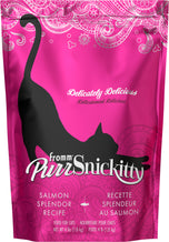 Fromm Cat PurrSnick Salmon Splendor